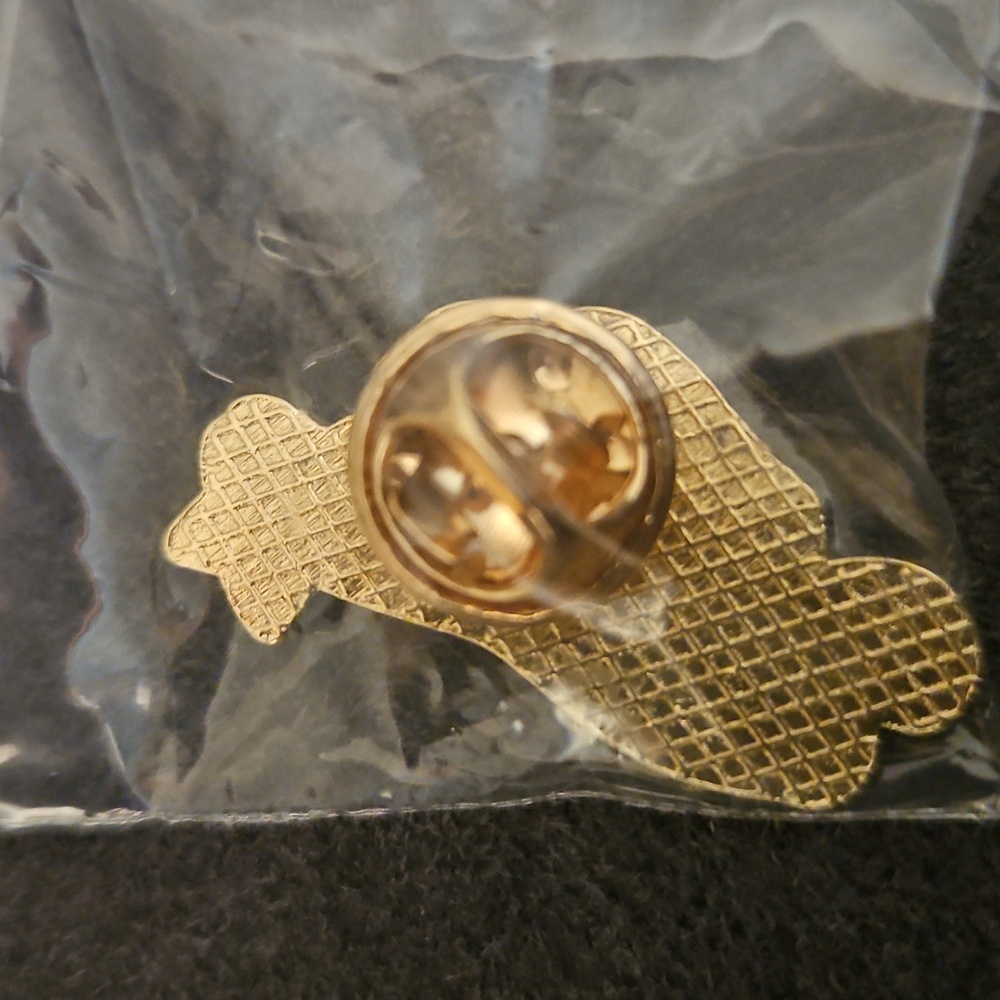 Astronaut holding star Pin - Picture 3 of 4